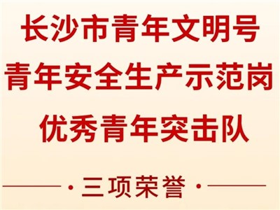 威胜集团荣获共青团长沙市委“号手岗队”立功大竞赛三项声誉